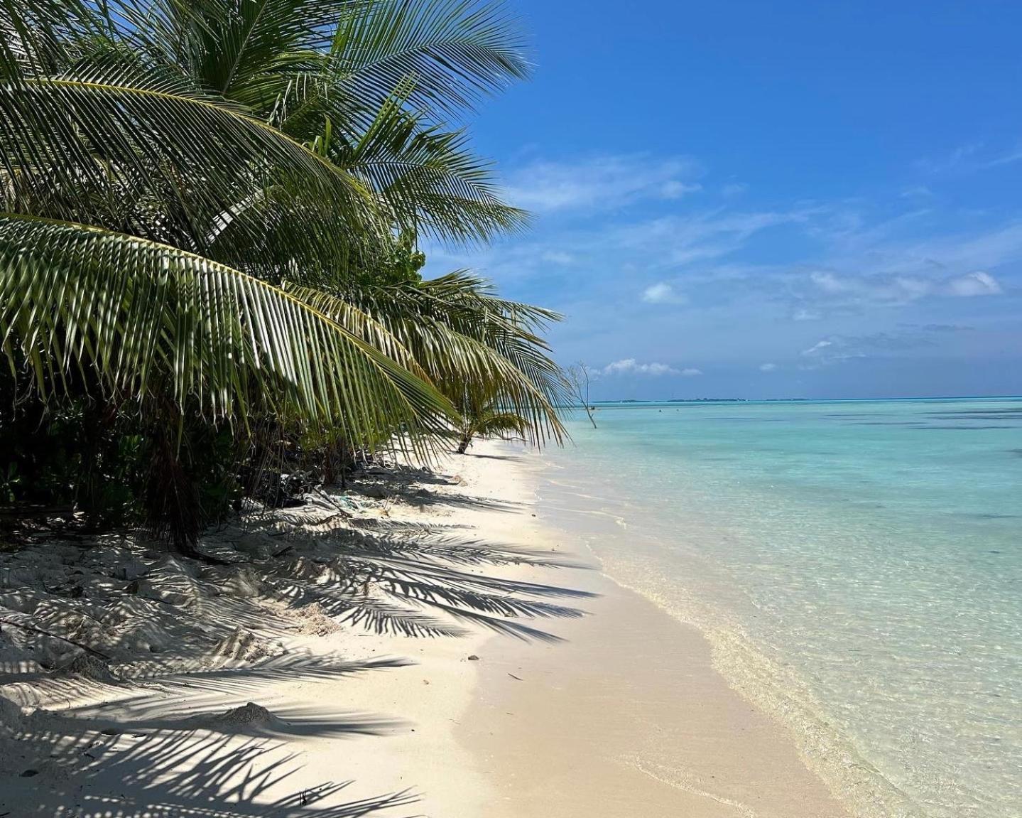 Heron Beach Hotel - The Best Maldivian Getaway In Dhiffushi,Maldives Exterior foto