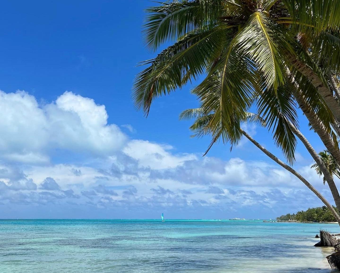 Heron Beach Hotel - The Best Maldivian Getaway In Dhiffushi,Maldives Exterior foto